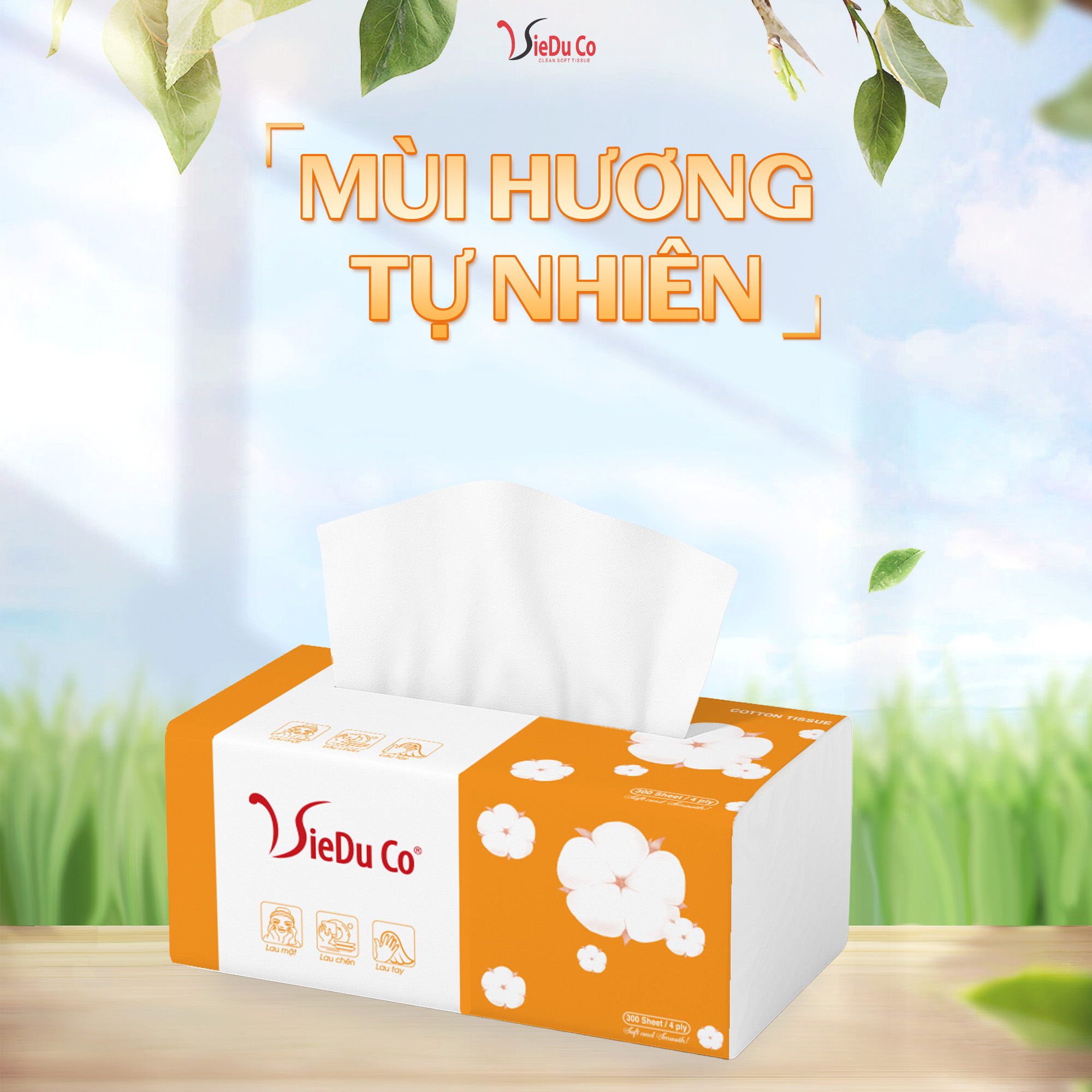 Khăn giấy rút gói lớn Vieduco