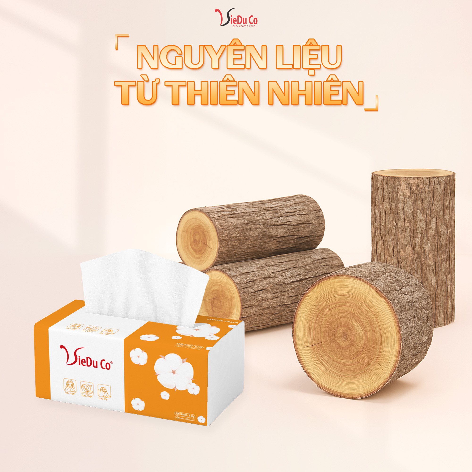 Khăn giấy rút gói lớn Vieduco